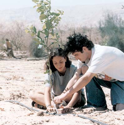 PlantTrees.jpg